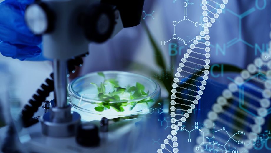 Il ruolo decisivo delle TEA nell'accelerazione dei processi biologici in agricoltura