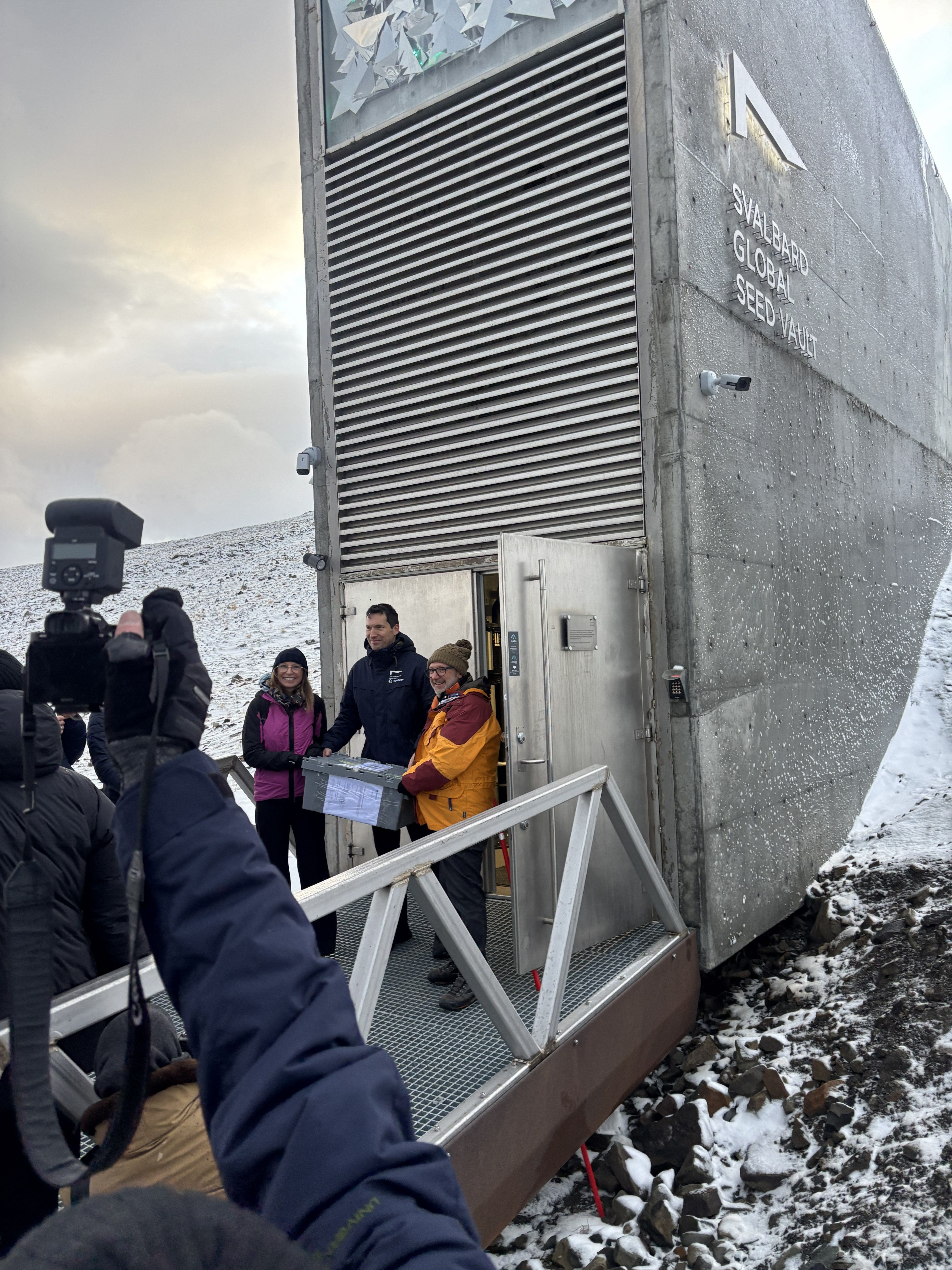 Il CREA deposita 300 variet&agrave; di frumento e riso alle Svalbard