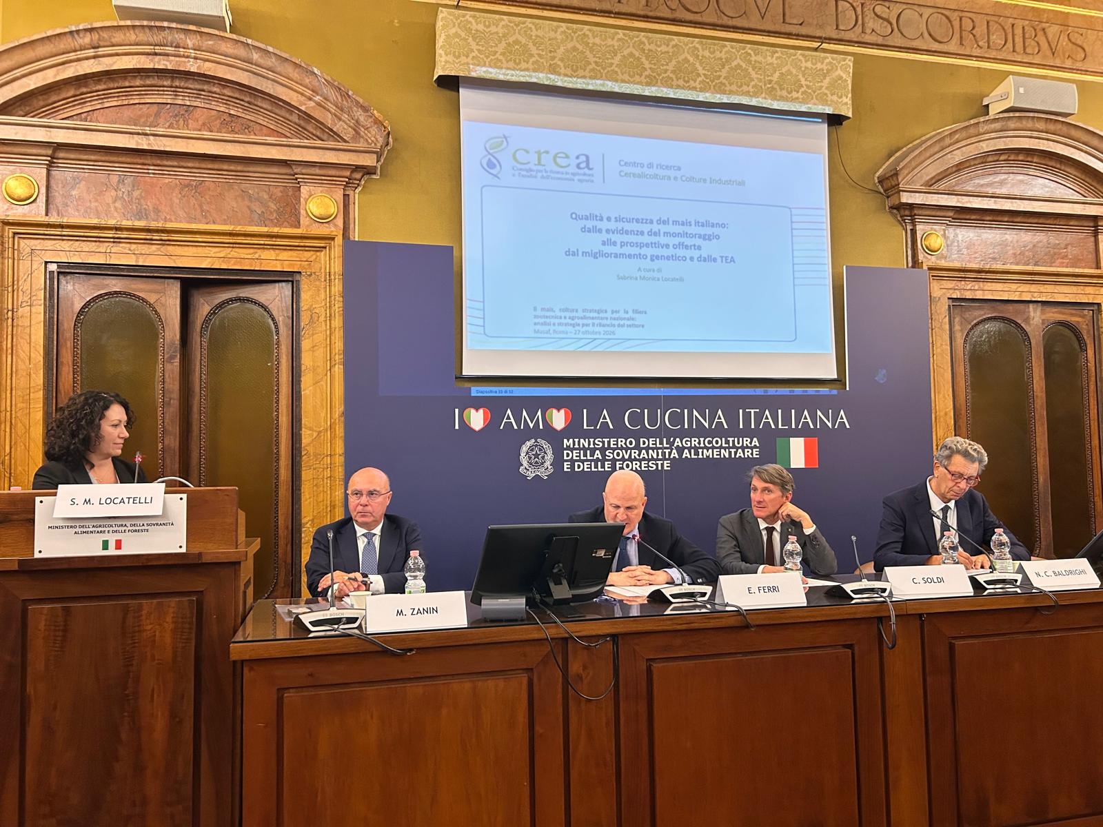 Maiscoltura, il CREA: ricerca e innovazione chiave per il rilancio di una filiera strategica