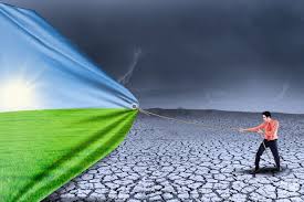 BioMa: dalla ricerca CREA la piattaforma previsionale degli impatti dei cambiamenti climatici sulle colture agrarie