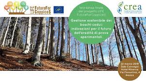 CREA: boschi cedui, presentati i risultati del progetto Future for Coppices