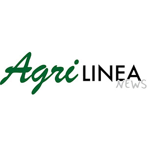 Fuori crinale – Dal bosco salvaguardare la stabilità dei versanti