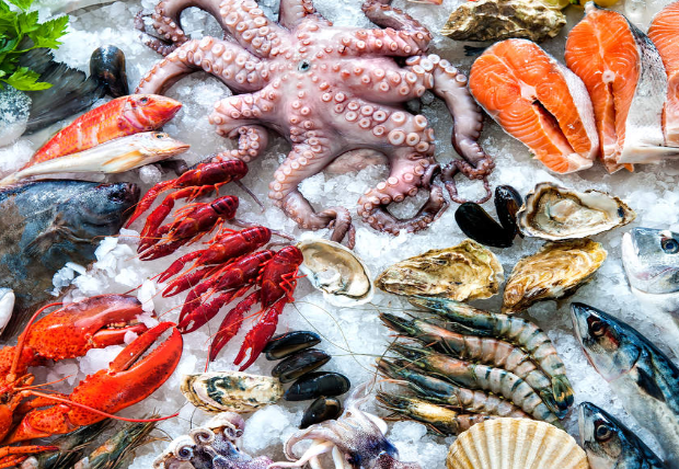 Il CREA a Tutta Salute: il pesce nutriente e salutare