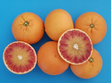 Fast Track: pubblicato l'avviso per manifestazioni di interesse alla valutazione delle nuove varietà di agrumi CREA