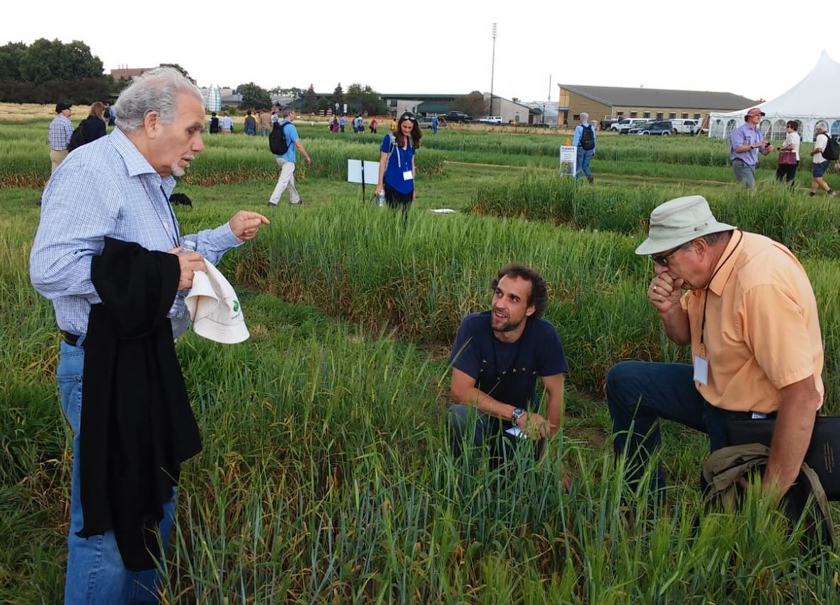 Il CREA SALUTA MICHELE STANCA, GRANDE SCIENZIATO E SUA STORICA COLONNA