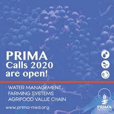 Al via il progetto CAMA: Il CREA vince e coordina la call PRIMA per diffondere le pratiche di agricoltura conservativa nel Mediterraneo