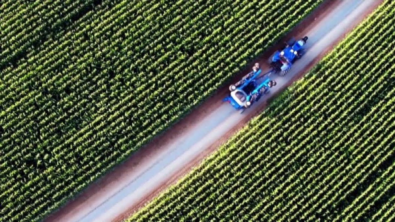 Raccogliere i benefici della scienza per la sostenibilità nella produzione agricola primaria