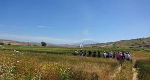 Visita ai campi sperimentali CREA in Sicilia