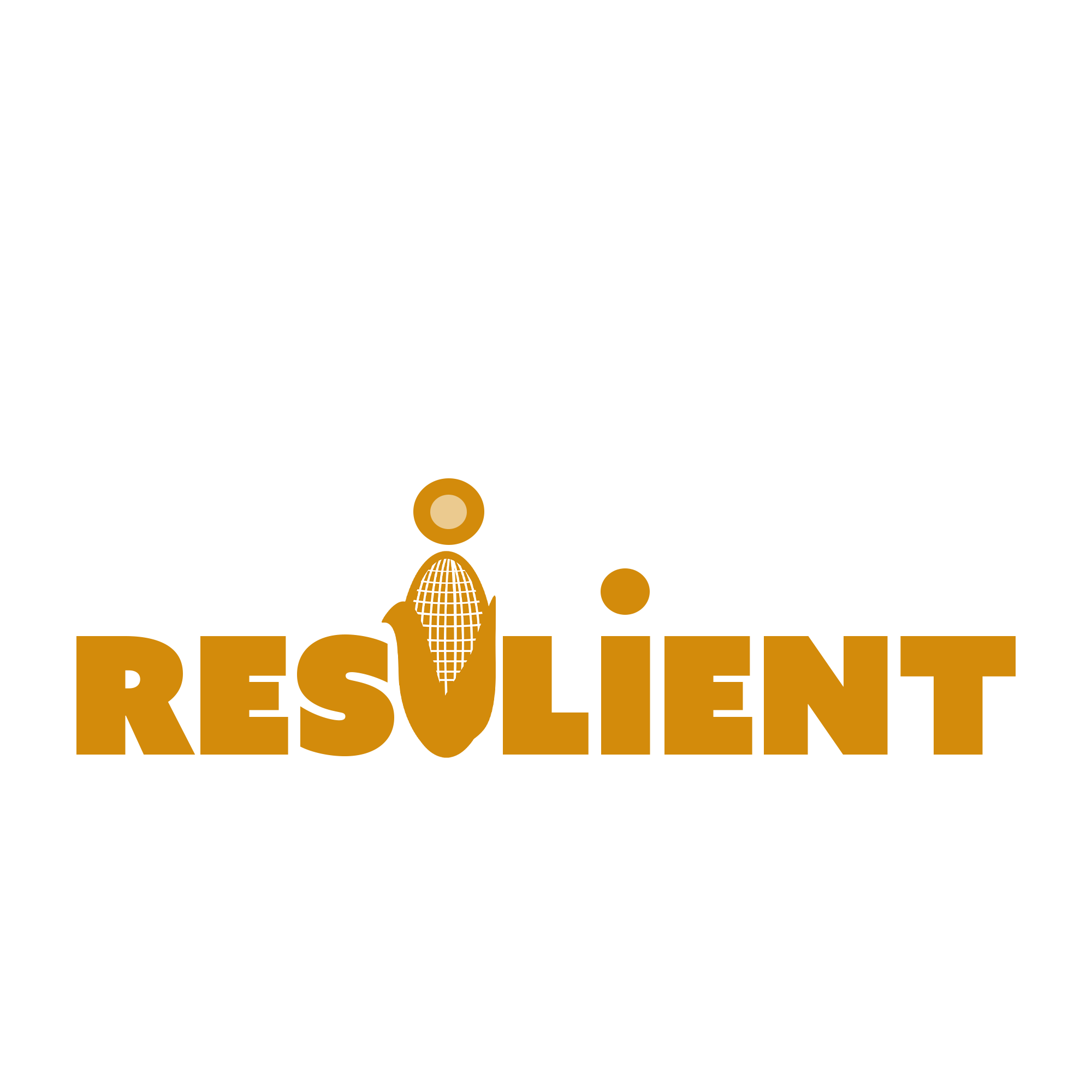 Coltivare varietà di nicchia: un laboratorio spiega alle aziende agricole come valorizzare i prodotti tradizionali locali