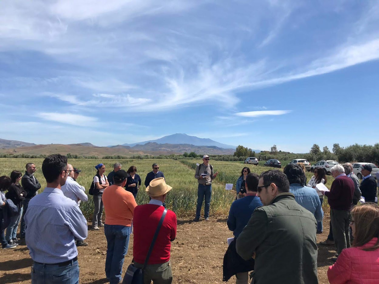Progetto Biodurum: visita al CREA per le prove sperimentali di grano duro biologico