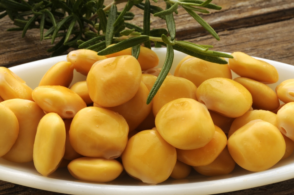 Lupino: alimento funzionale e sostenibile