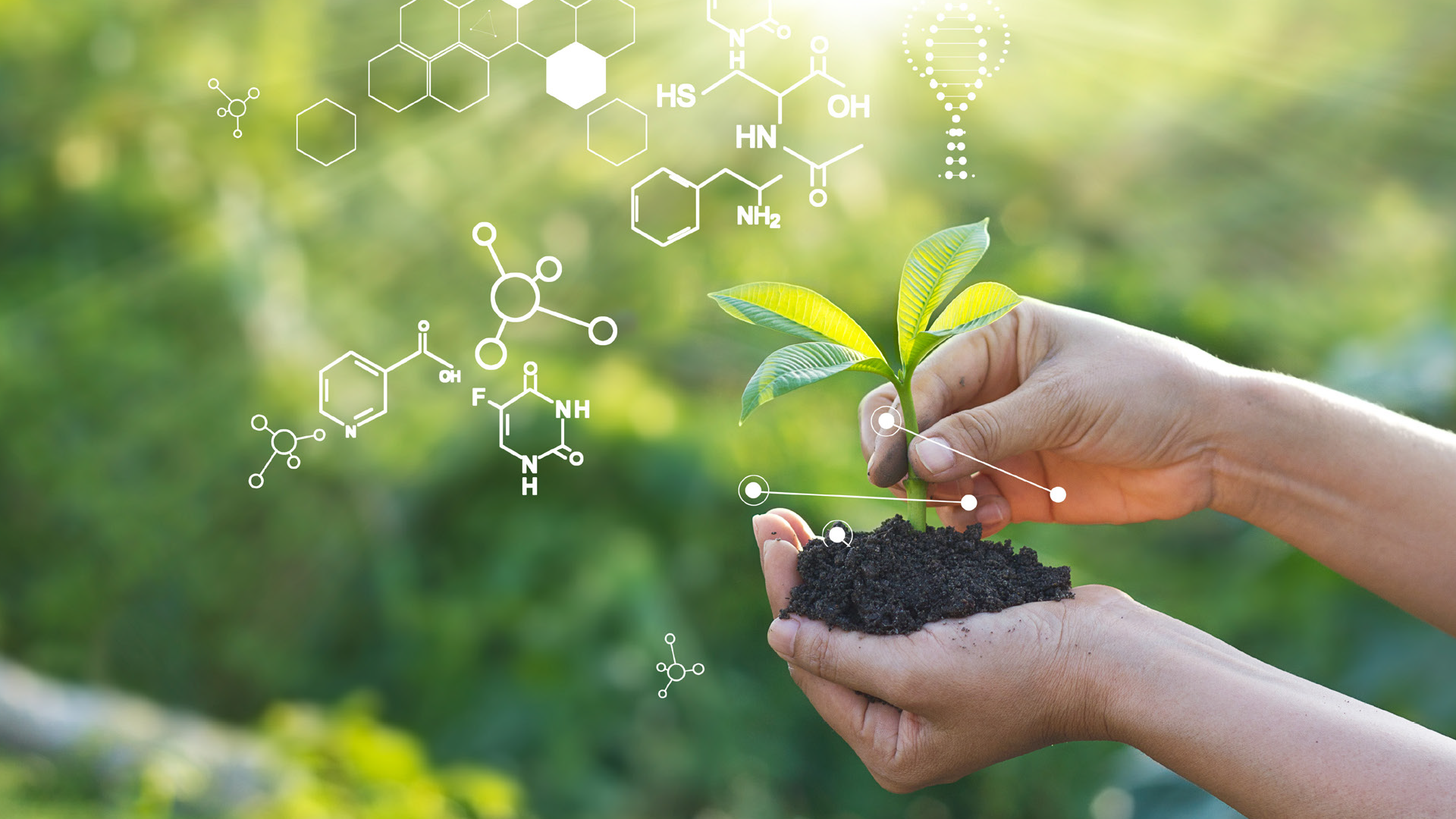 Il SOVESCIO BIOATTIVO: il CREA Cerealicoltura e Colture Industriali presenta la propria attività