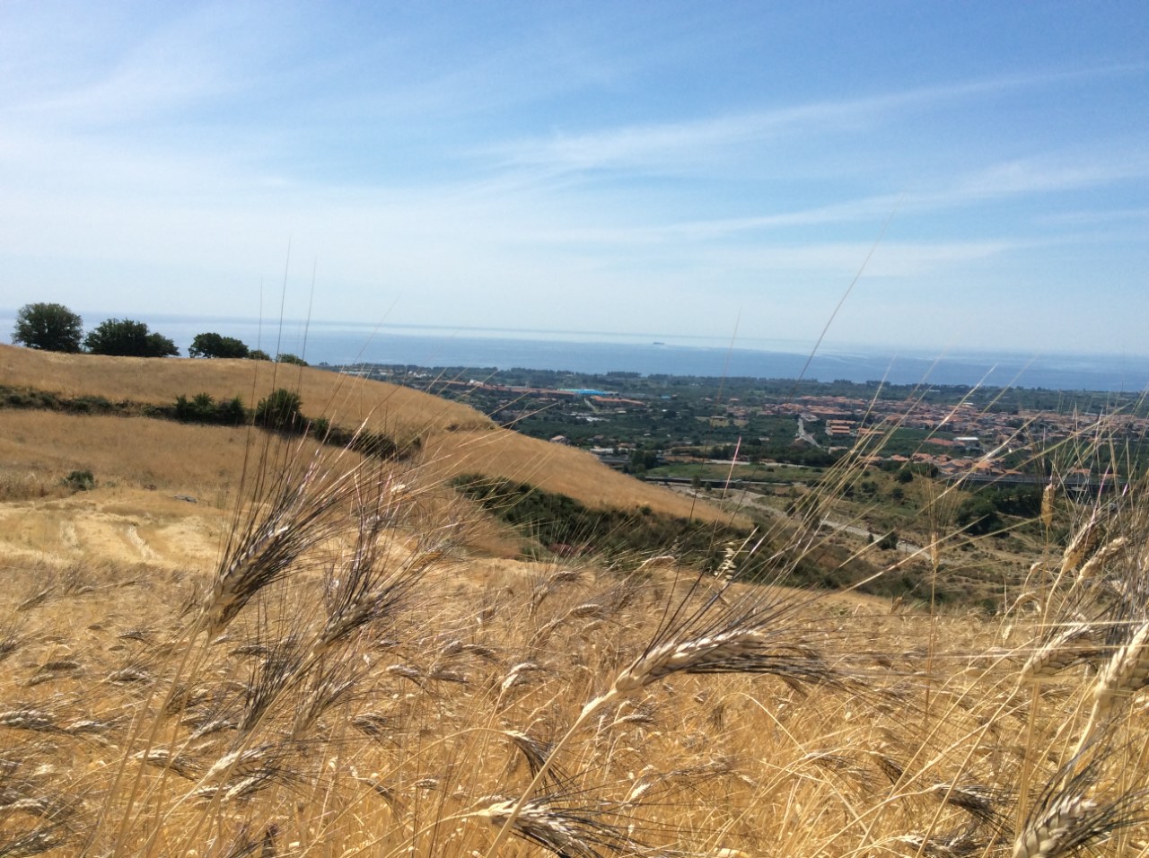 Grani locali, in Sicilia tra storia e attualità per una sana alimentazione