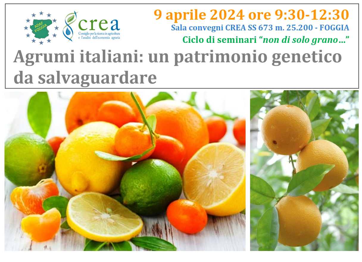 Agrumi italiani: un patrimonio genetico da salvaguardare