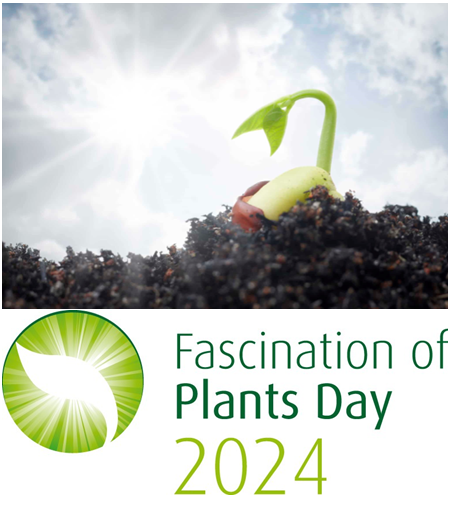 FASCINATION OF PLANTS 2024: LE COLTURE INDUSTRIALI INCONTRANO LE BIOTECNOLOGIE