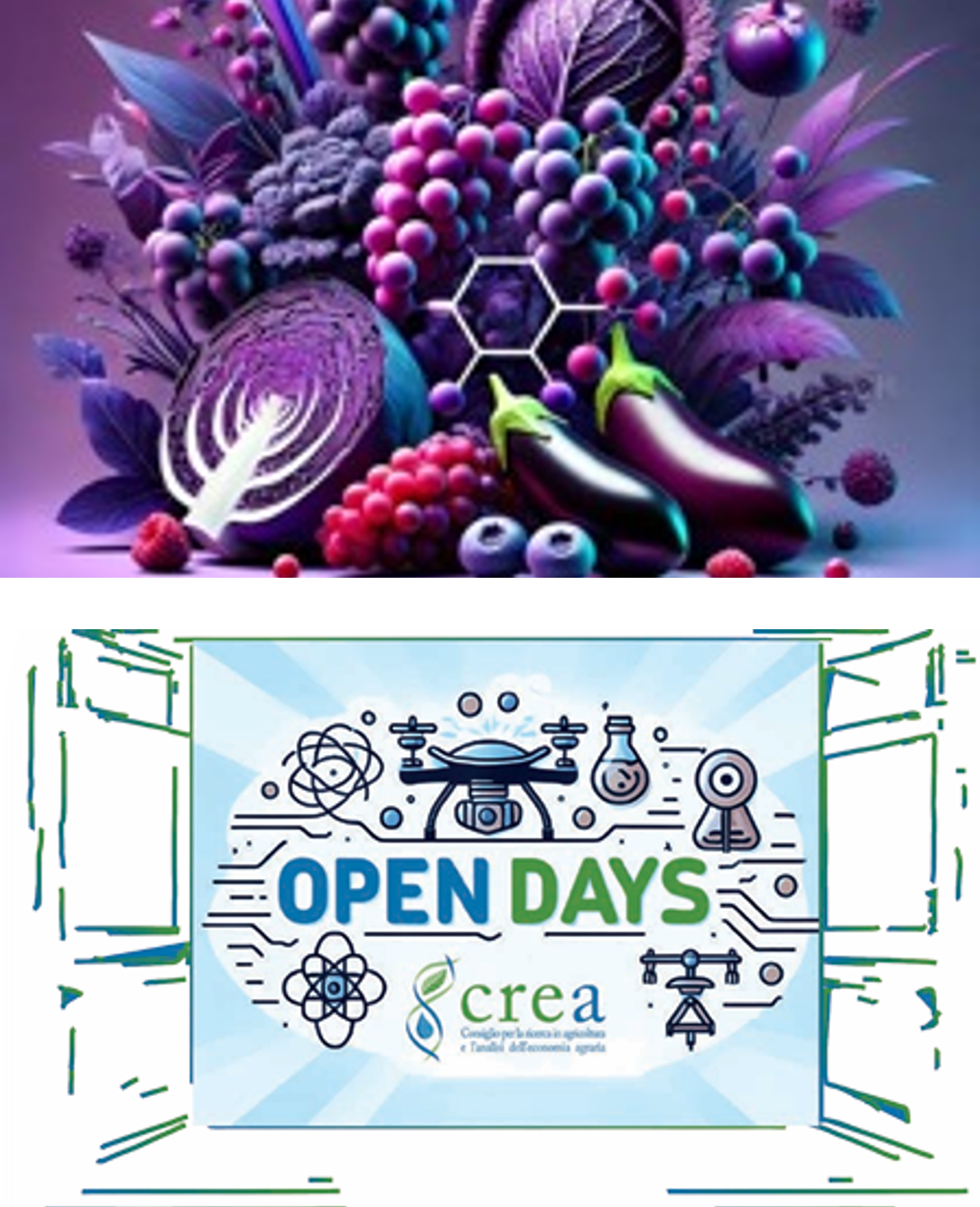 Open Day CREA Cerealicoltura e Colture Industriali