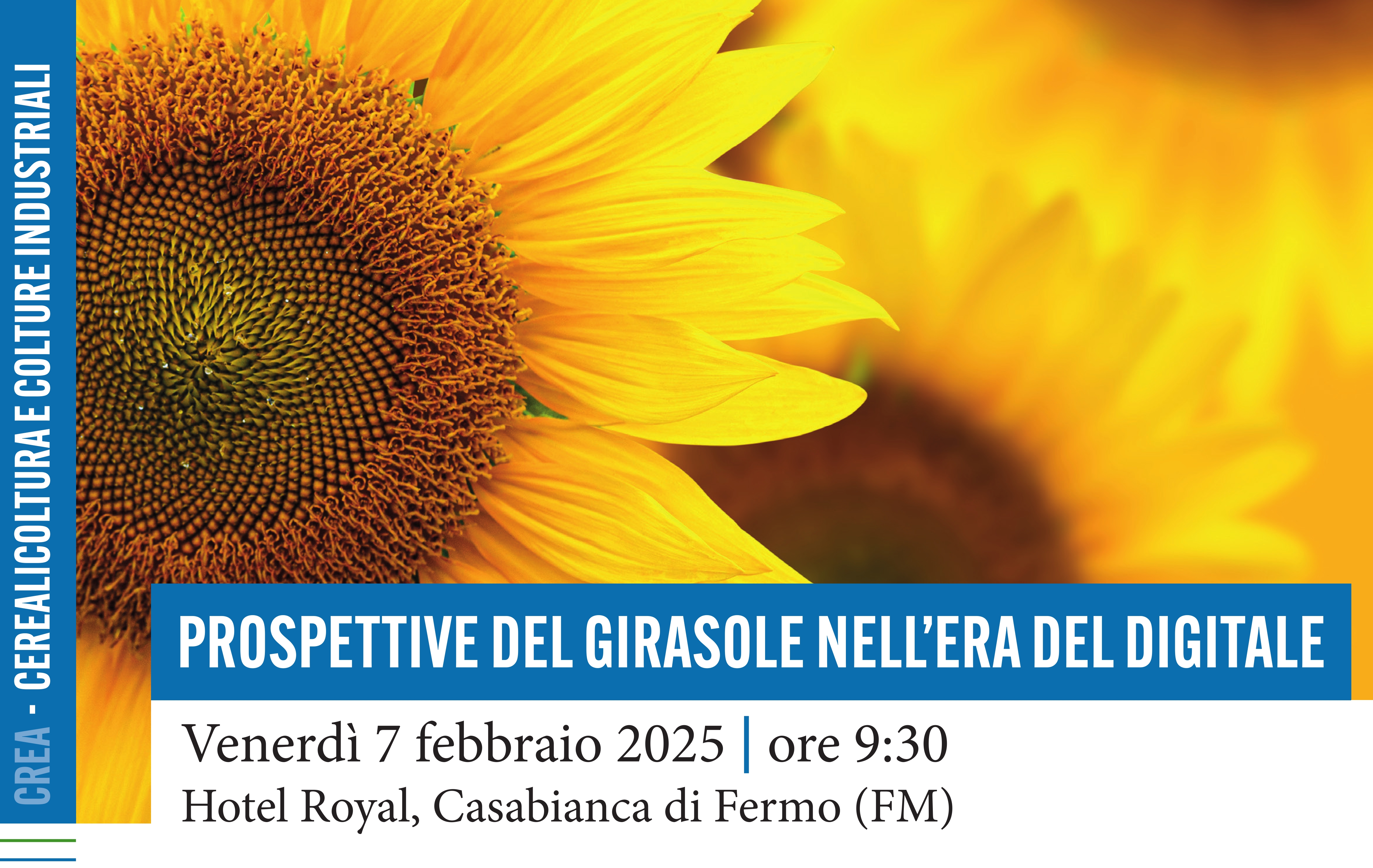 Convegno: Le prospettive del girasole nell’era del digitale