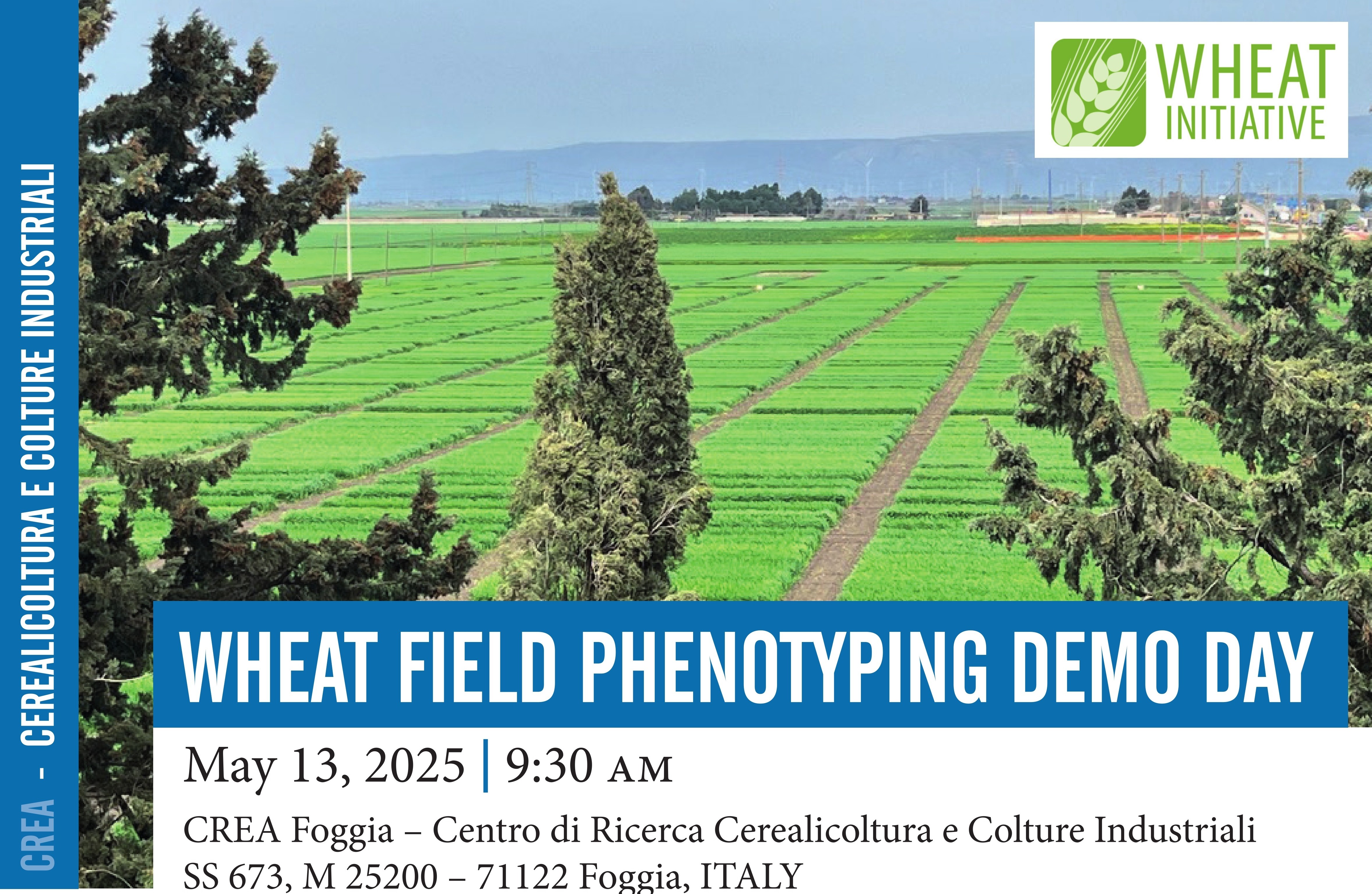 Wheat Field Phenotyping Demo Day