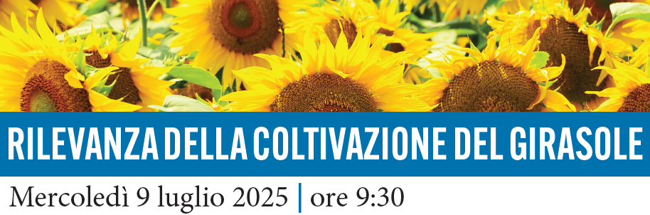 GIRASOLE: PERCHE' COLTIVARLO?