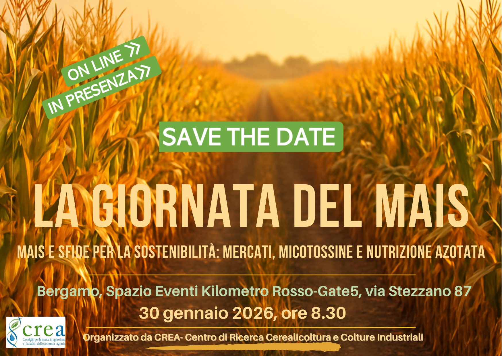 Torna la GIORNATA DEL MAIS al CREA Cerealicoltura e Colture Industriali