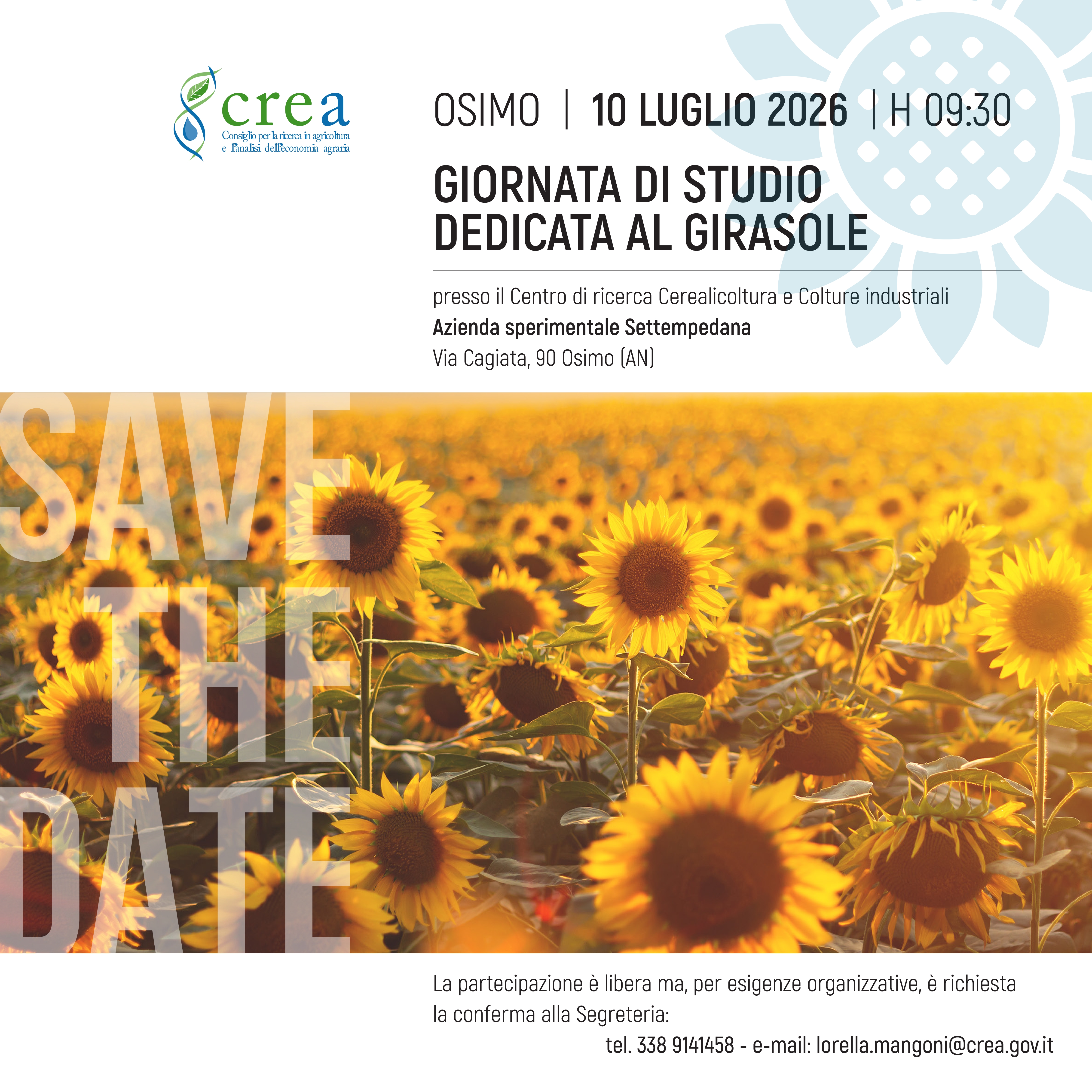 GIORNATA DEL GIRASOLE 2026: criticità e opportunità
