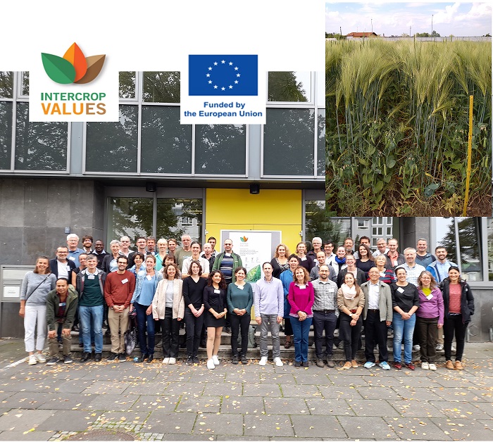 SECONDO MEETING ANNUALE DEL PROGETTO EUROPEO INTERCROPVALUES