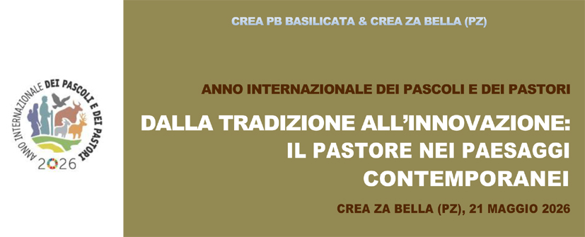 Dalla Tradizione all’Innovazione: Il Pastore nei Paesaggi Contemporanei