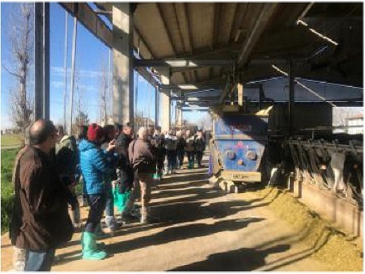 Zootecnia digitale benessere animale, impatto ambientale ed efficienza economica: l’esperienza dell’azienda Verdera