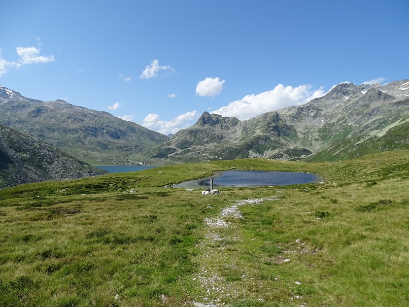 Seconda visita tecnica - La diversità dei suoli
