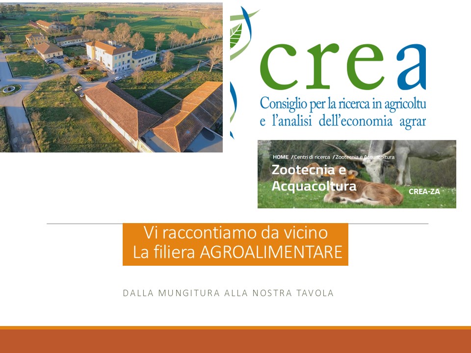 Vediamo da vicino la filiera agroalimentare: dalla mungitura alla nostra tavola
