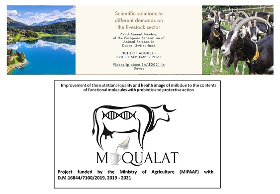 72nd of the European Federation of animal science in Davos Switzerland