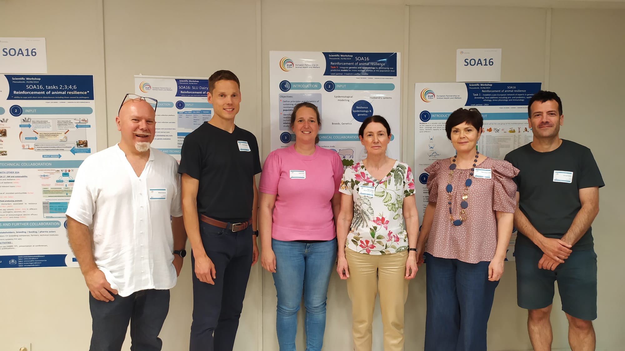 Second Annual Meeting EUPAHW - SOA16