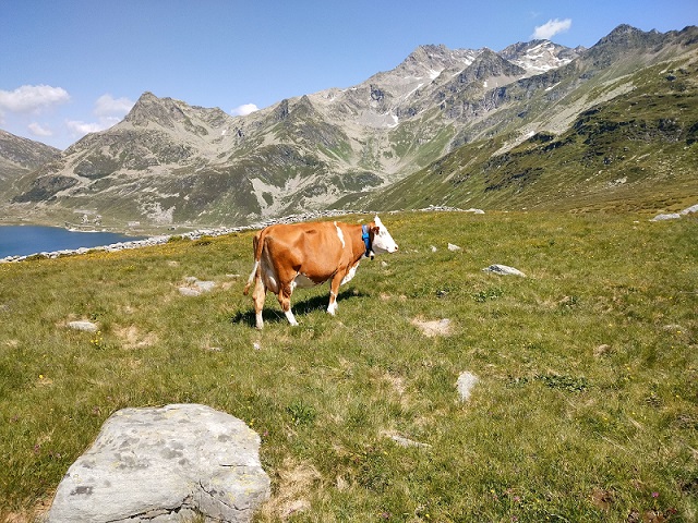 CONVEGNO FINALE DEL PROGETTO PASCOL-ANDO