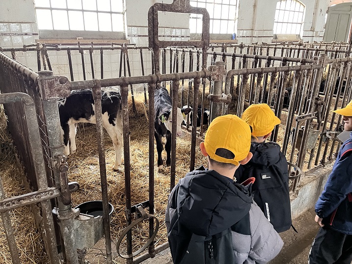 Vi raccontiamo da vicino. La filiera AGROALIMENTARE: dalla mungitura alla nostra tavola