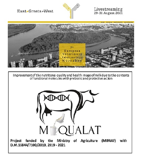 7th European Veterinary Immunology Workshop