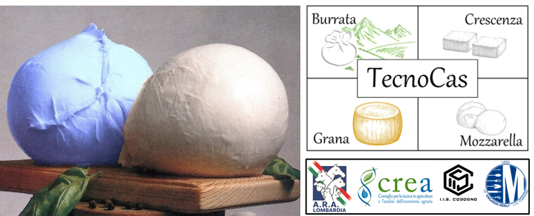 Come contrastare le alterazioni da Pseudomonas nella produzione e conservazione di mozzarelle