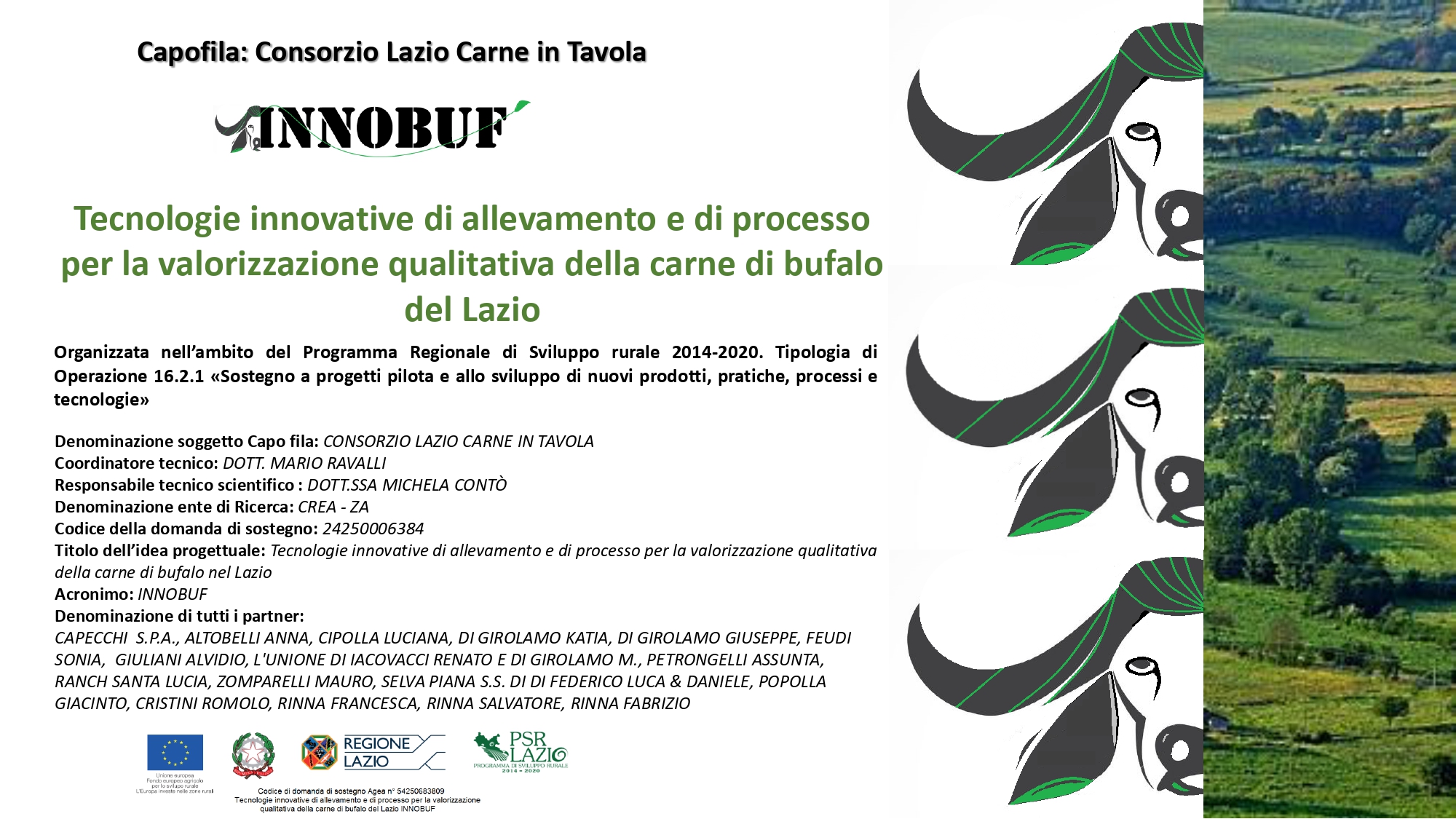 INNOBUF: Tecnologie innovative di allevamento e di processo per la valorizzazione qualitativa della carne di bufalo del Lazio