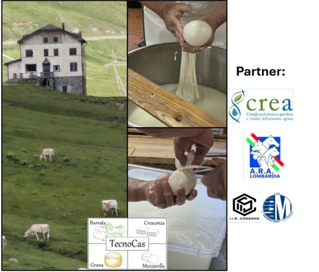 Produzione di paste filate per la valorizzazione del latte d’alpeggio