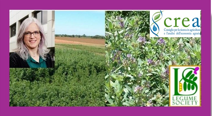 STRATEGIES TO ADDRESS ROOT ROT IN PEA AND LENTIL