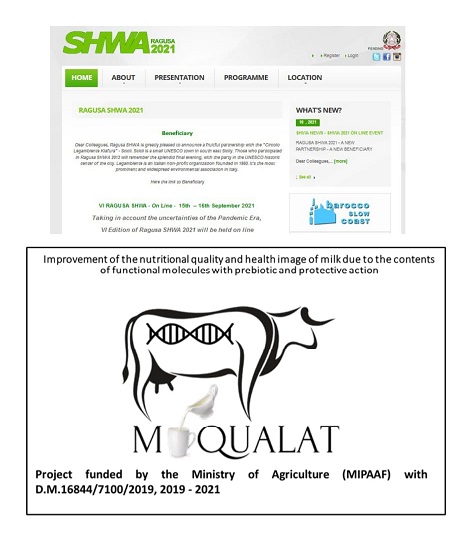 VI International Conference