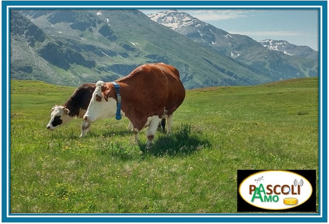 Convegno progetto PASCOLI-AMO