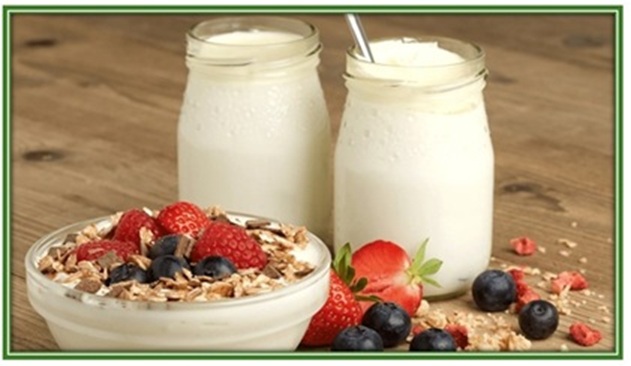 CORSO DI FORMAZIONE PER TECNICI DELLA PRODUZIONE DI LATTI FERMENTATI. DEADLINE ISCRIZIONI: 4 MARZO