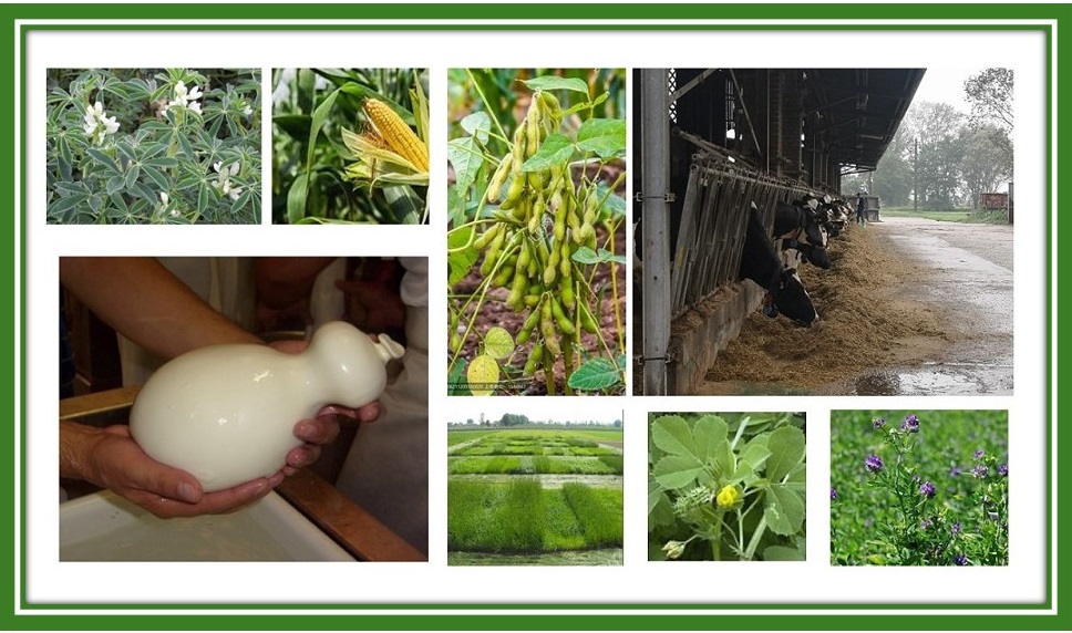 Il CREA-ZA sarà presente alla 233° Fiera di Codogno