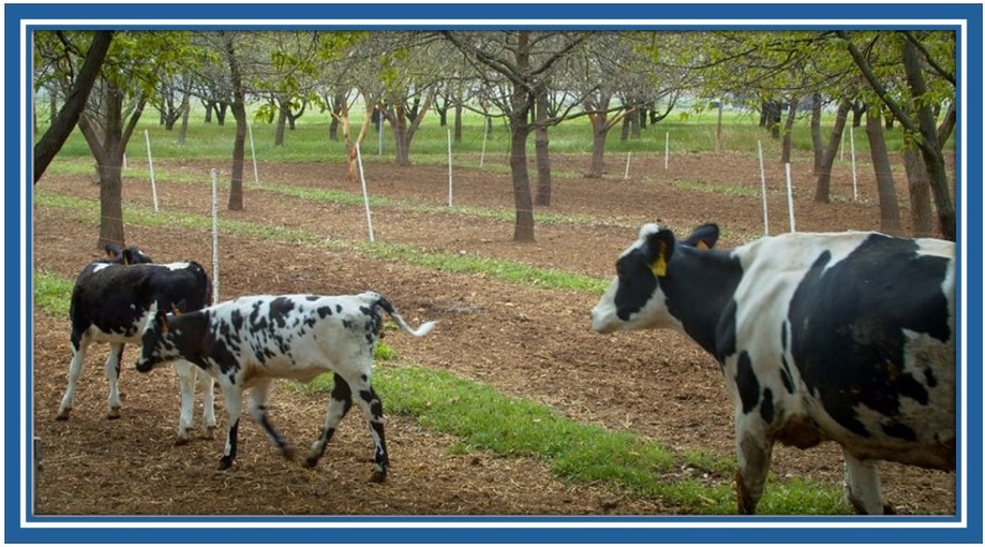 GIORNATA DIMOSTRATIVA - PROGETTO INFO – FILBIO