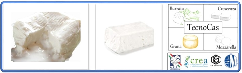 Utilizzo di chimosina di cammello nella produzione di Crescenza