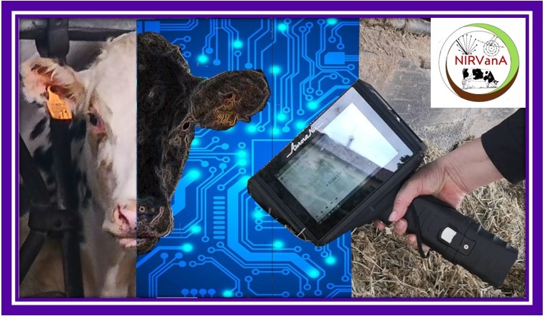 6° WEBINAR nell’ambito del progetto NIRVANA L’INTELLIGENZA ARTIFICIALE INCONTRA LA ZOOTECNIA