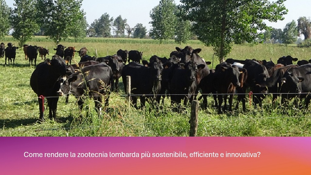 ZOOTECNIA SOSTENIBILE IN LOMBARDIA: PROGETTI IN RETE PER MISURARE, INNOVARE E MIGLIORARE
