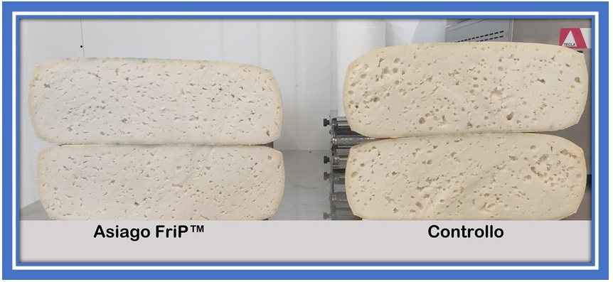 Formaggio FriP™: innovazione casearia al servizio dei pazienti con insufficienza renale