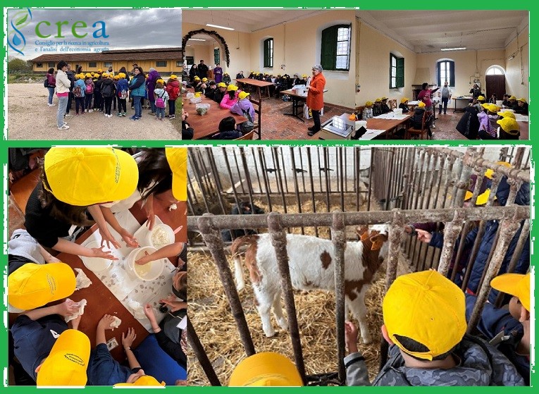 Vi raccontiamo da vicino la filiera AGROALIMENTARE: dalla mungitura alla nostra tavola