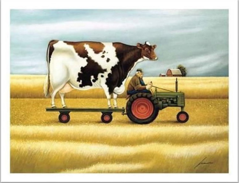 Torna il tradizionale appuntamento con il congresso del Mastitis Council Italia!